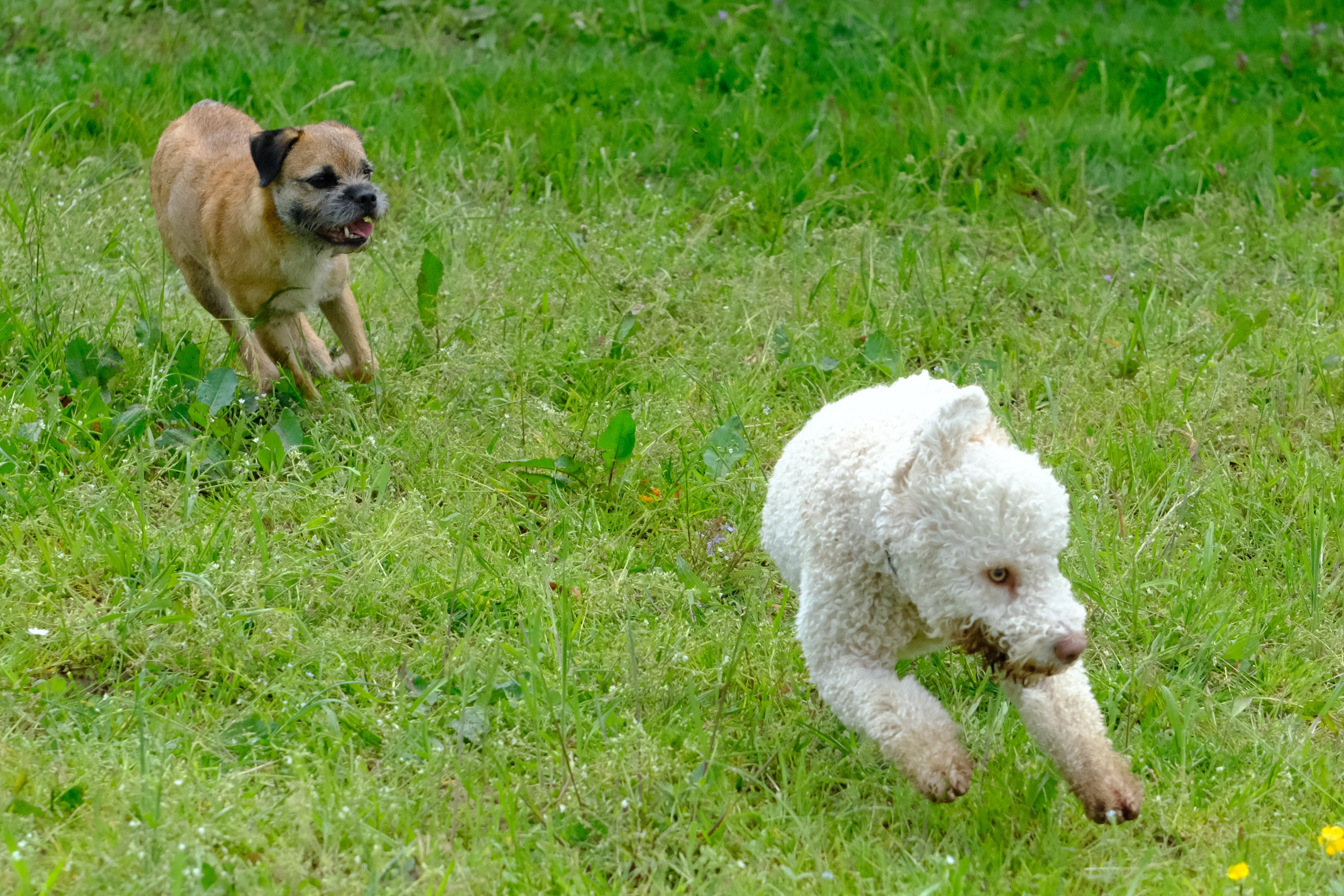 Spielstunde 7. 5. 23 (16)