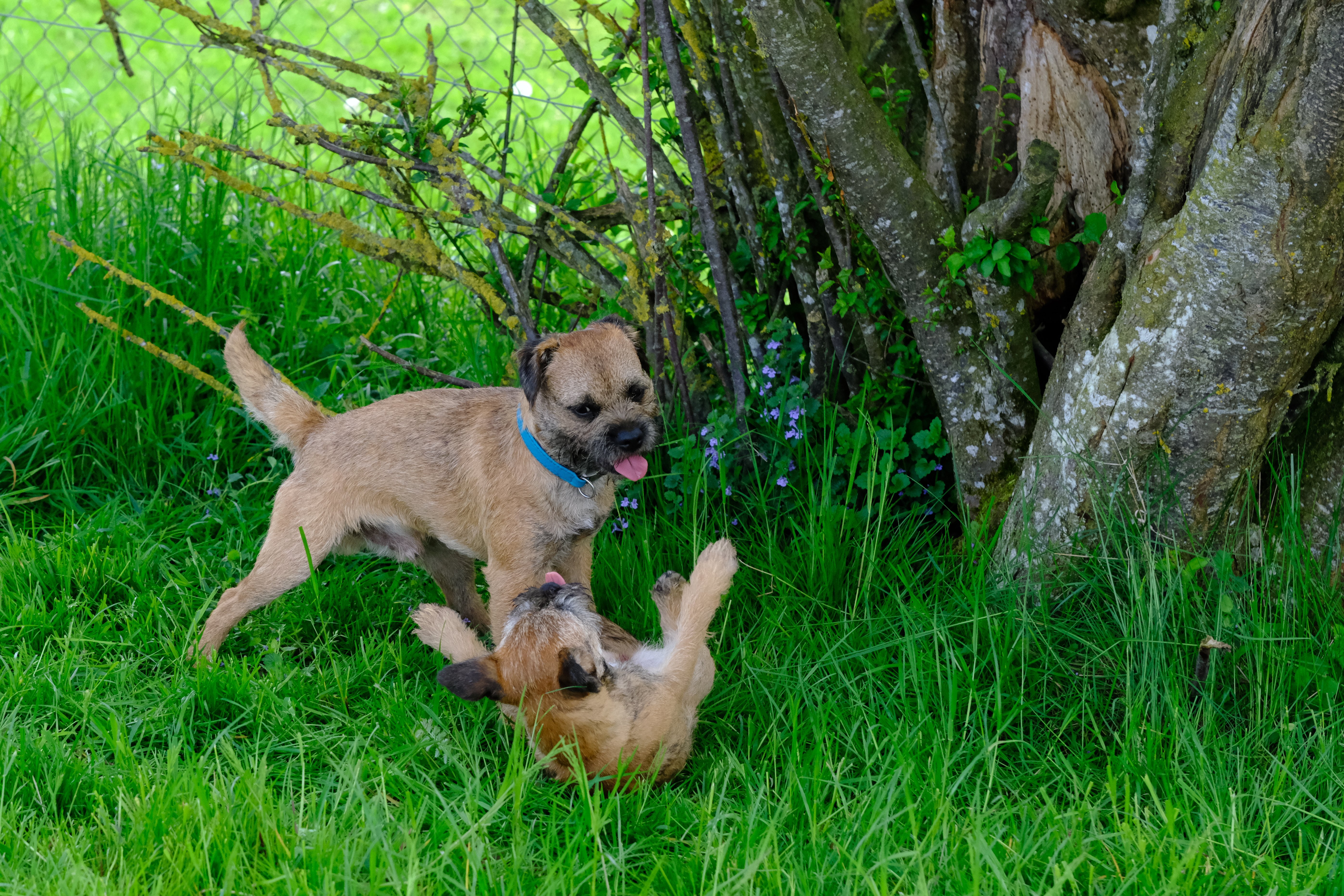 Spielstunde 7. 5. 23 (18)