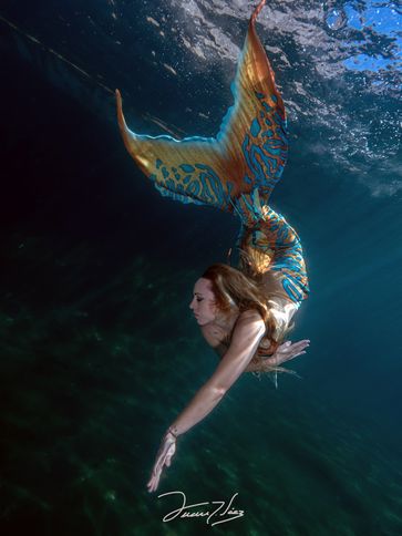 P1010038-Mejorado-NR 1