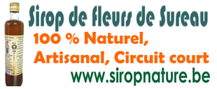 Producteur sirop de fleurs de sureau