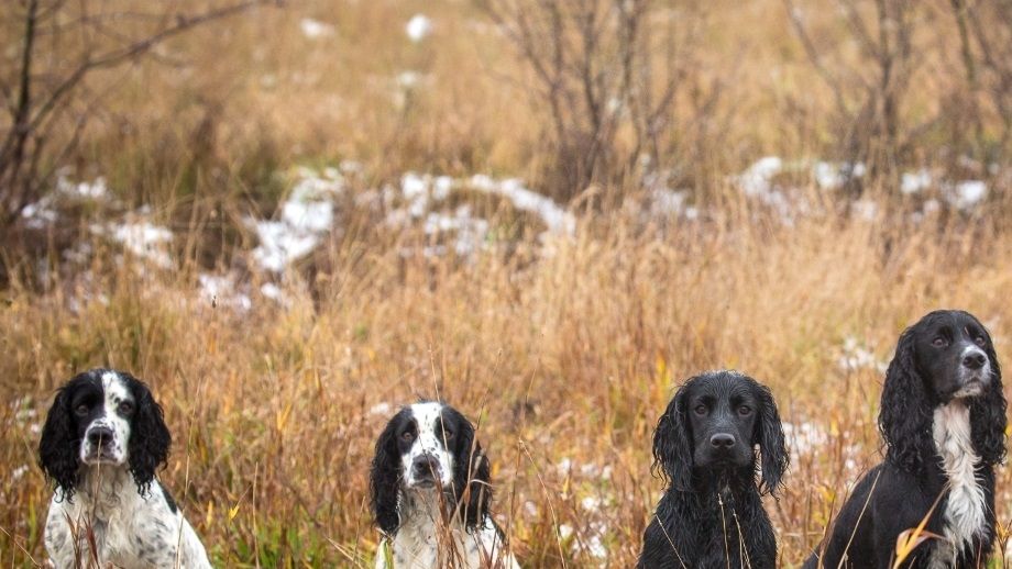 Vera, Elsa, Rut, Greta, Hilda. December 2018. Foto: Elin Edenborg