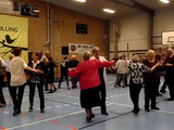 Seniordans forårsudstilling 2016