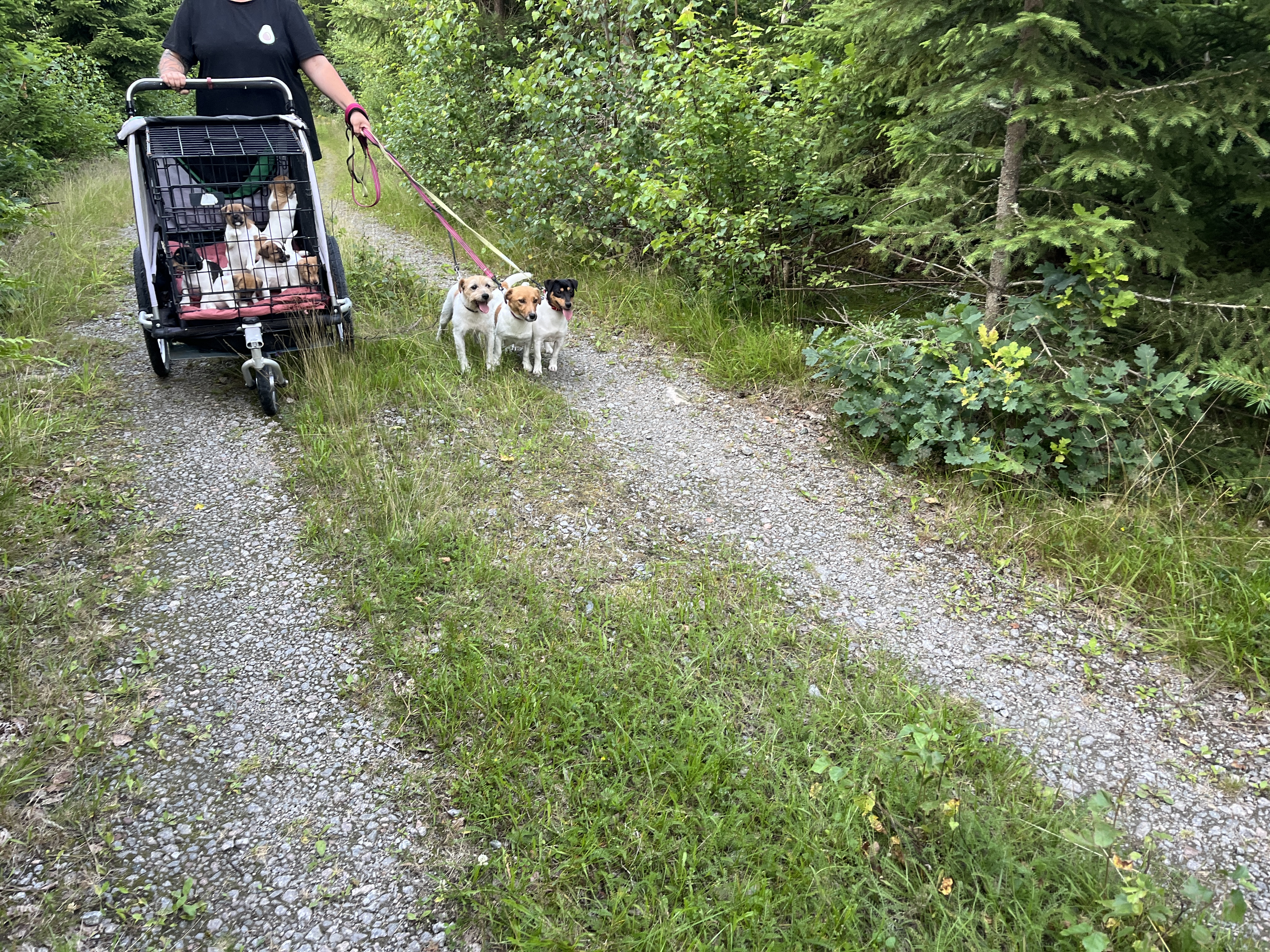 Hela familjen på promenad.