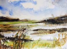 Wetlands landscape 3107 