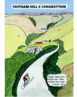3193shipham269_stitch wide