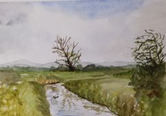 3081  Little River
