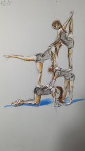 Gymnasts   506