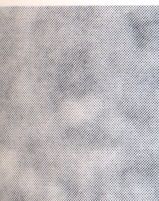 Hakon Rahbek