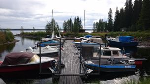 DSC_0343 (1)