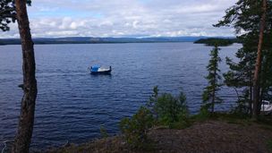 DSC_0344 (1)