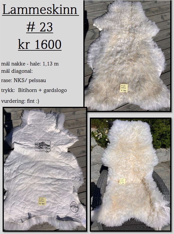 Lammeskinn # 23