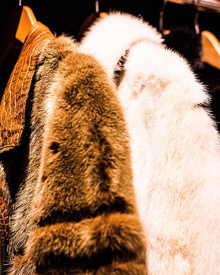 fur