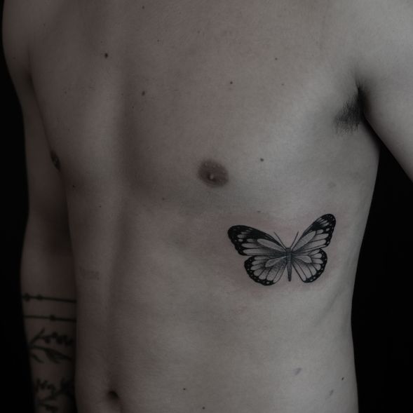 030223butterfly