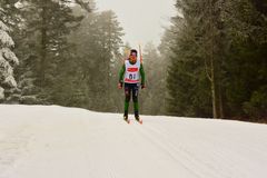 20250202_Schwäbische Kniebis-102