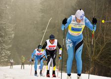 20250202_Schwäbische Kniebis-201