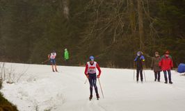 20250202_Schwäbische Kniebis-212
