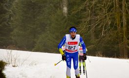 20250202_Schwäbische Kniebis-250