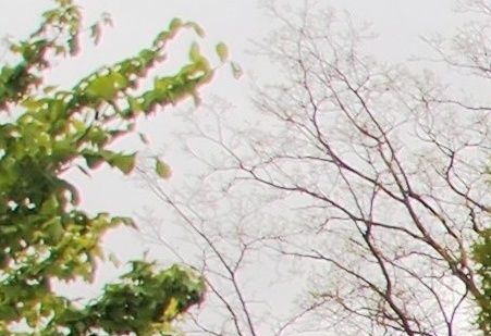 En af haverne på Høgeurtvej (vej H) i Skovly - maj 2015.

Klik på billedet for at se det i et større format.