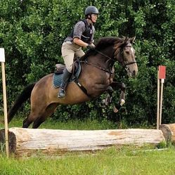 IMG_20240816_144911_552