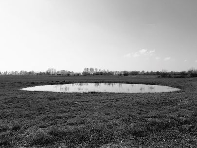 Dümmer See 2023