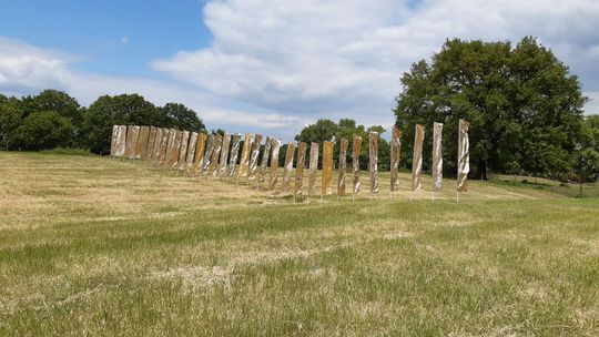 Lippewiese Dorsten 2020