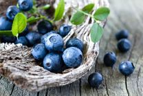 BLUEBERRY