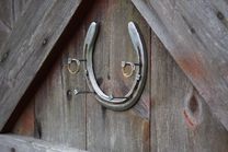 HORSESHOES