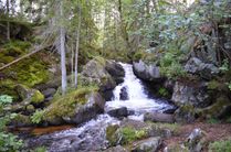 RÄVAFALLET