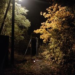 Uncanny entrance gate