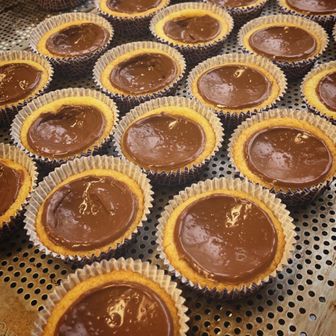 Dumlecakes