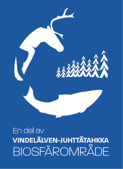 En del av Vindelälven-Juhttätahkka biosfärsområde