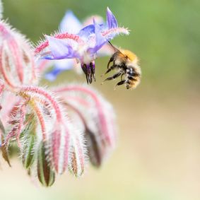 20180625_0223-2