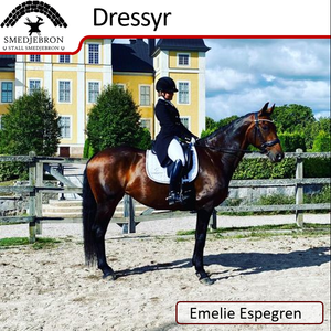 Emelie Espegren Stall Smedjebron Ridning Träning Ridhus Skövde