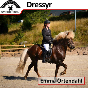 Emma Örtendahl tränare dressyr Stall Smedjebron Ridning Träning Ridhus Skövde