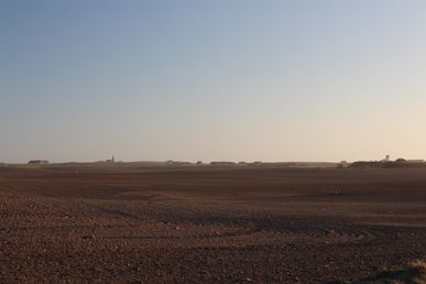 IMG_2223