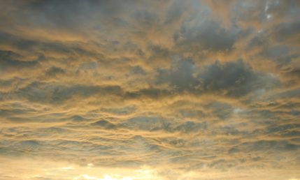 IMG_2233_cropped