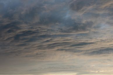 IMG_2241