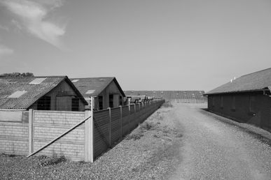 IMG_2292