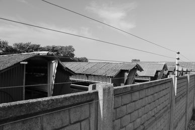 IMG_2307