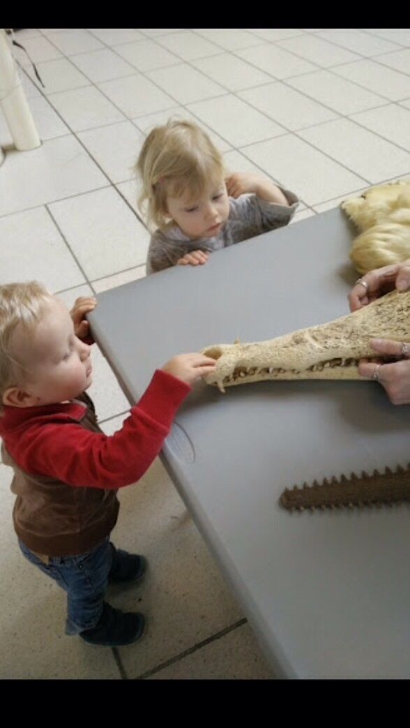 Besøg hos Naturhistorisk Museums stand.