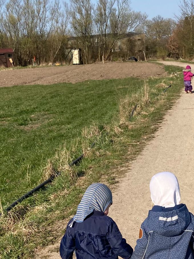 Tur til Andelssamfundet hvor vi så på kunst, besøgte gederne med kid og fodrede høns med mælkebøtter.
