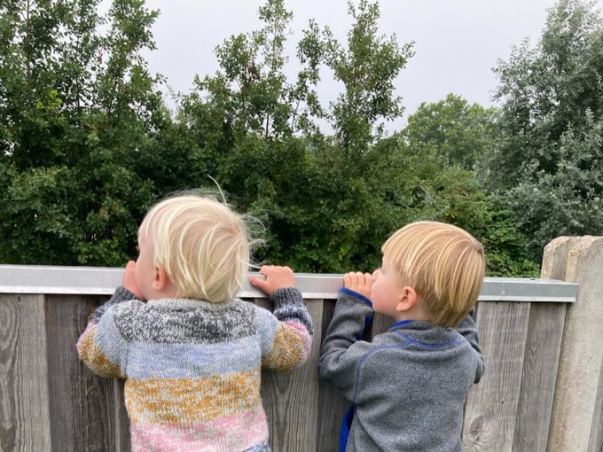 Vi nyder at se på lastbiler, gravkøer mv over hegnet i haven. 