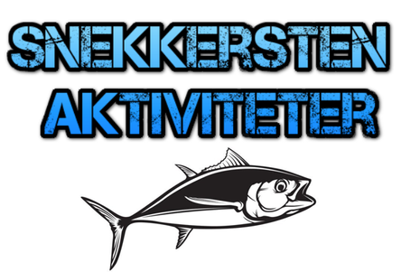 Snekkersten Aktiviteter