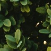 unsplash_ieMssSW6oQs