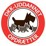 DKK