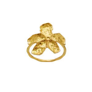 Maanesten Fraisa ring