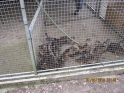 de_13_anders_tur_til_fuglekojen_3_20130811_1485706591