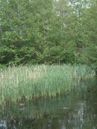 velkomst_og_markning_af_de_13_ander_30_20130811_1251080778