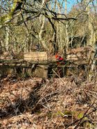 IMG_0989