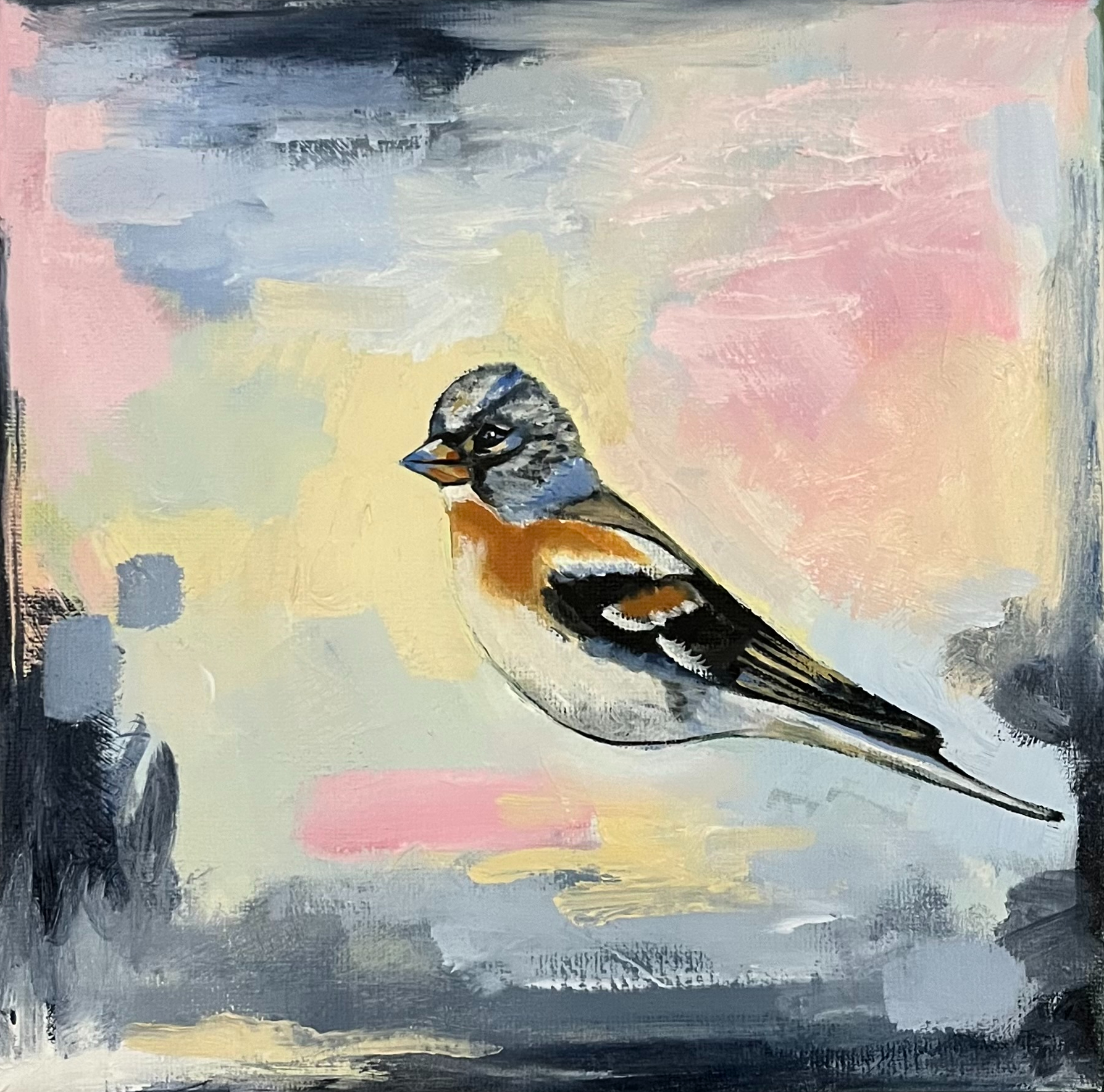 Pastellfågel 